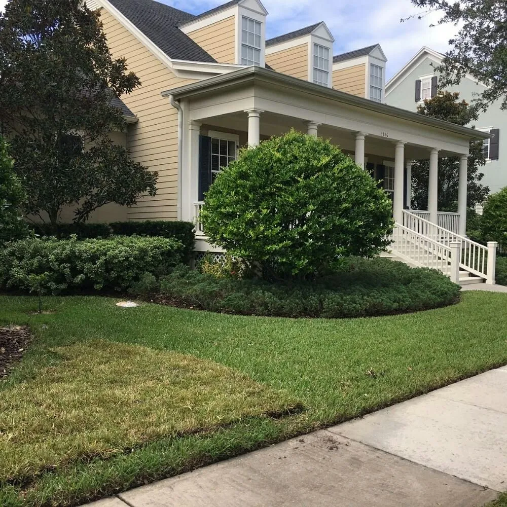 Top-rated landscaping services in Orlando, FL - Southern Lawn Maintenance