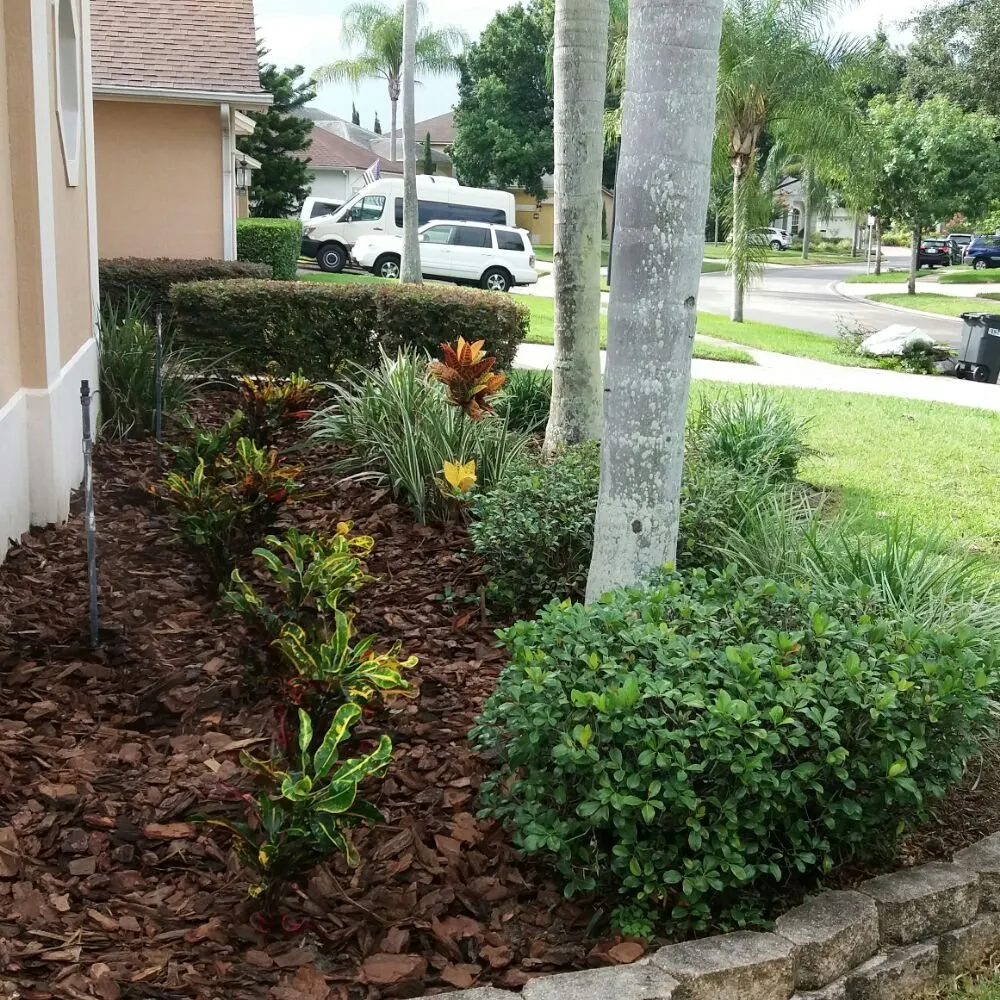 Top-rated yard cleanup service in Orlando, FL by Southern Lawn Maintenance