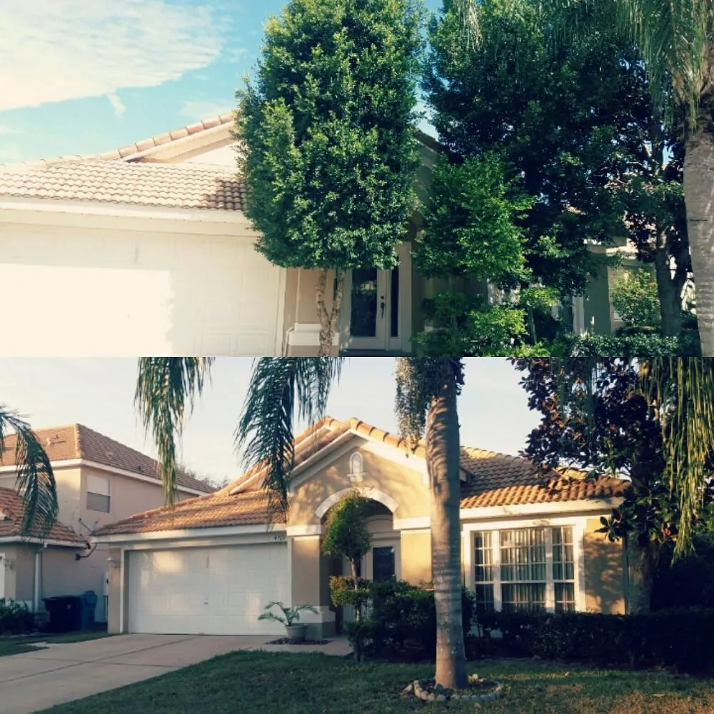 Professional garden landscaping for year-round maintenance across Orlando, FL - Southern Lawn Maintenance