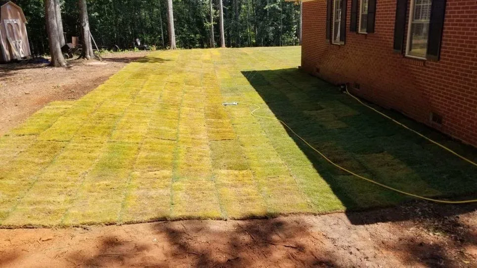 Expert yard cleanup service with custom design across Thomaston, GA - Southern Lawn Management