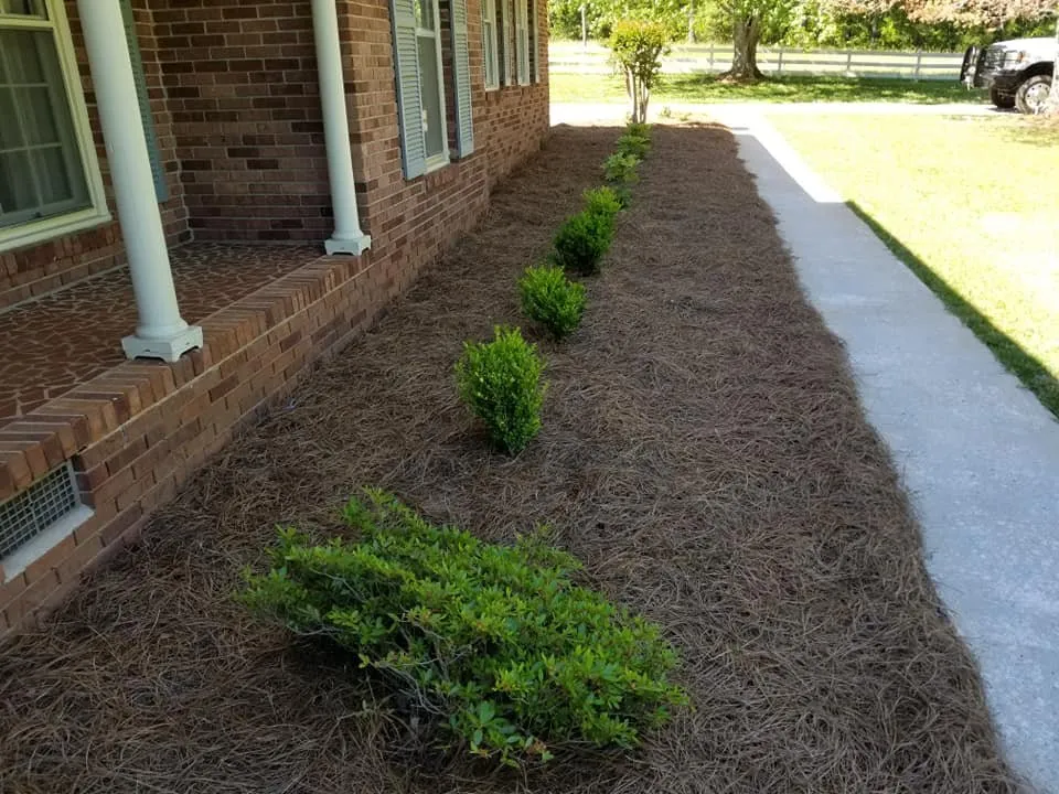 Expert landscaping services near you in Thomaston, GA by Southern Lawn Management