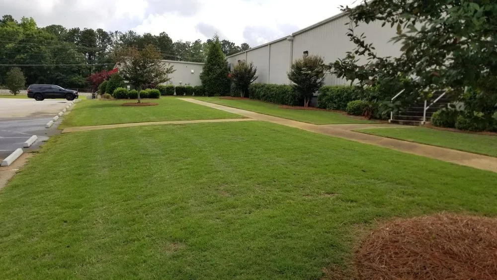 Custom lawn care service experts serving Thomaston, GA - Southern Lawn Management