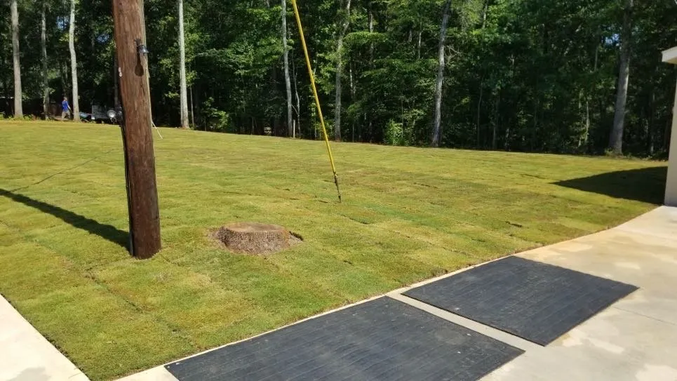 Reliable yard cleanup service in Thomaston, GA - Southern Lawn Management
