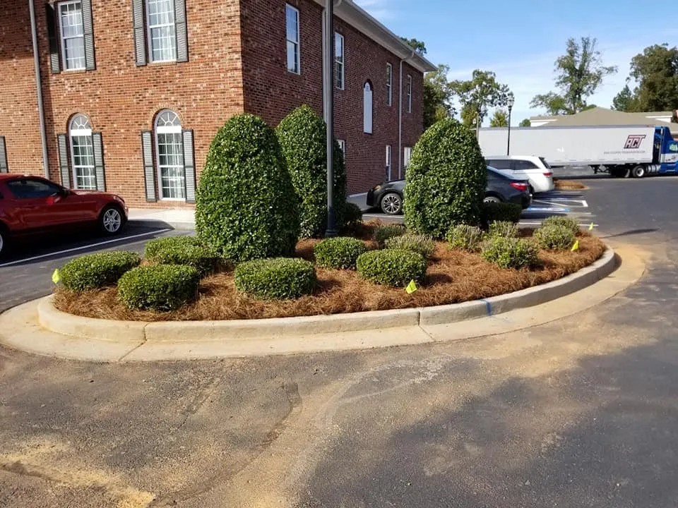 Local yard cleanup service in Thomaston, GA - Southern Lawn Management