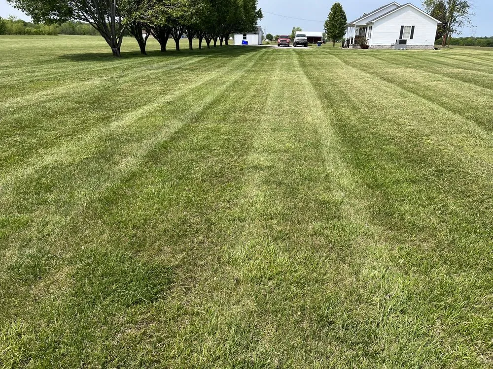 Custom lawn care service in Russellville, KY by Southern Lawn Service