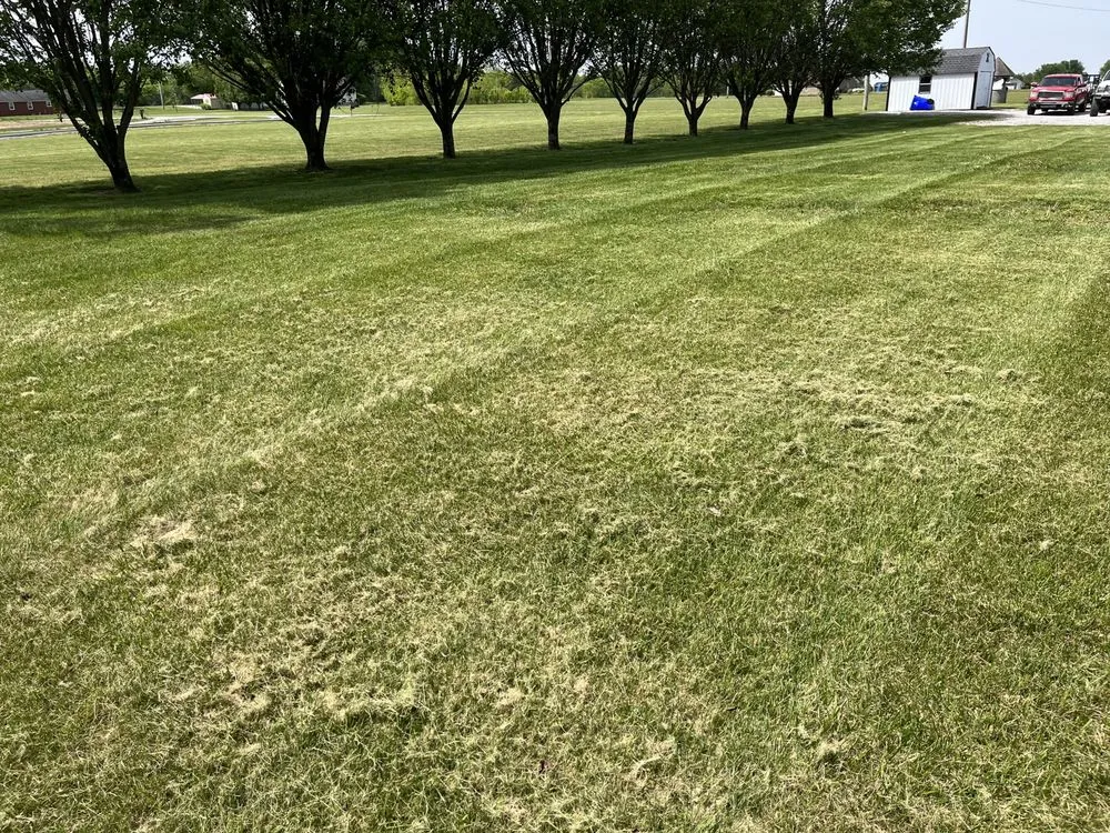 Top-rated landscape design in Russellville, KY - Southern Lawn Service