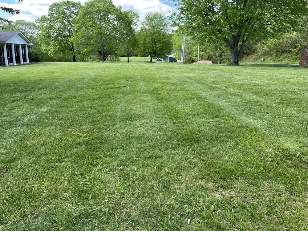 Reliable lawn care service experts serving Russellville, KY - Southern Lawn Service