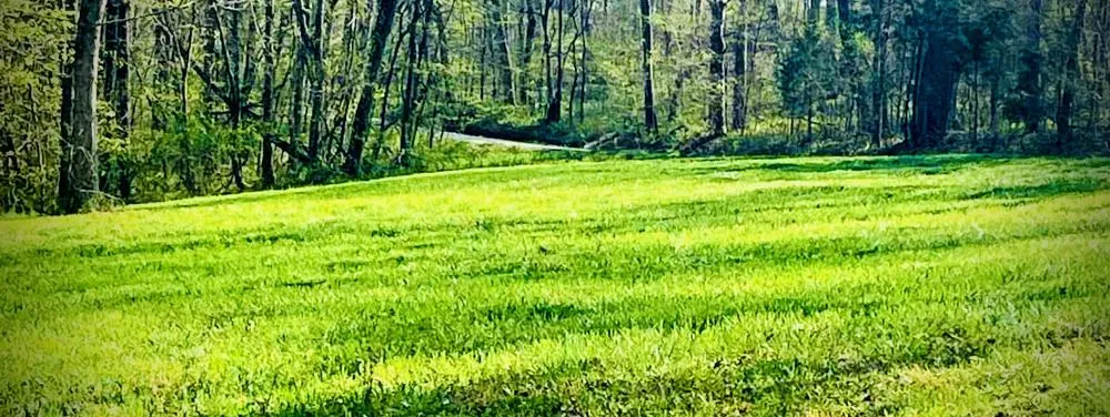 Expert landscape installation for beautiful yards across Russellville, KY - Southern Lawn Service