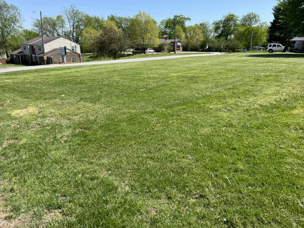 Local outdoor landscaping with custom design in Russellville, KY by Southern Lawn Service