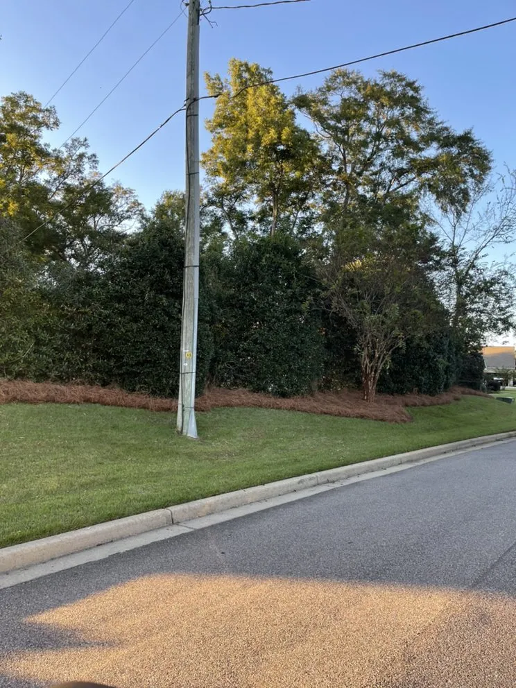 Professional garden landscaping in Prattville, AL by Southern Lawn Worx