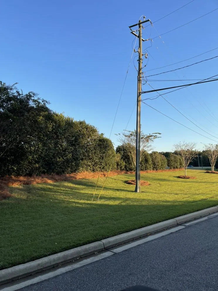 Affordable lawn care service for homes across Prattville, AL - Southern Lawn Worx