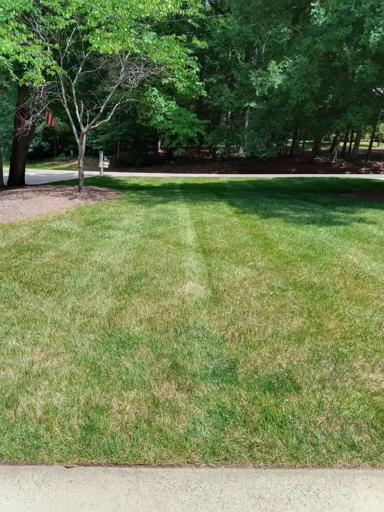 Expert lawn mowing service in Sanford, NC - Southern Lawncare & Landscaping