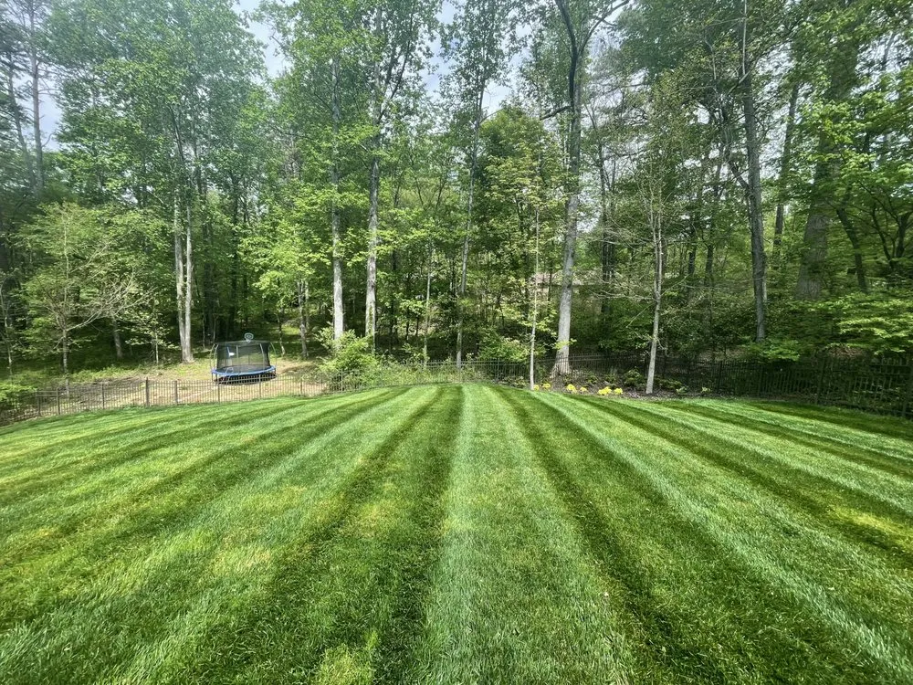 Affordable residential landscaping with custom design in Clinton, TN by Southern Lawncare