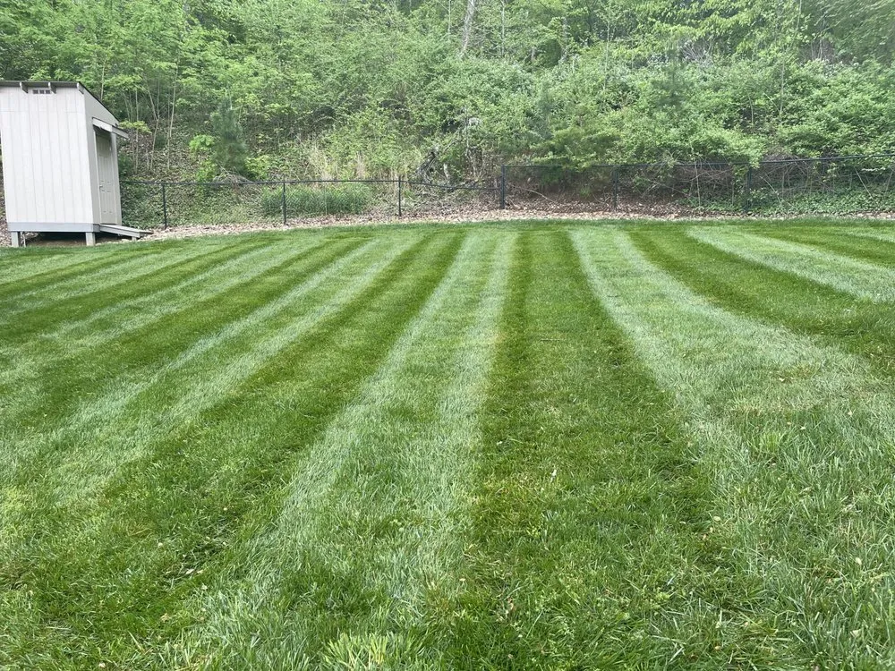 Local lawn mowing service for beautiful yards across Clinton, TN - Southern Lawncare
