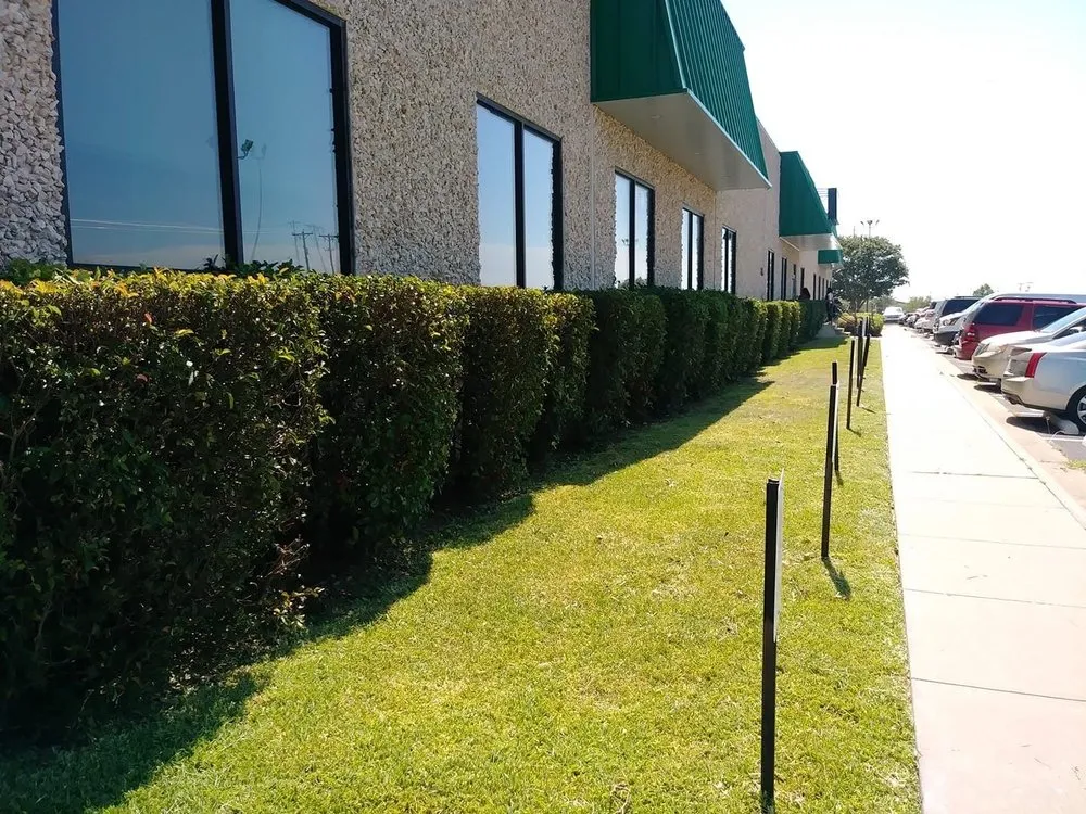 Custom landscaping services in Killeen, TX by Southern Lawns