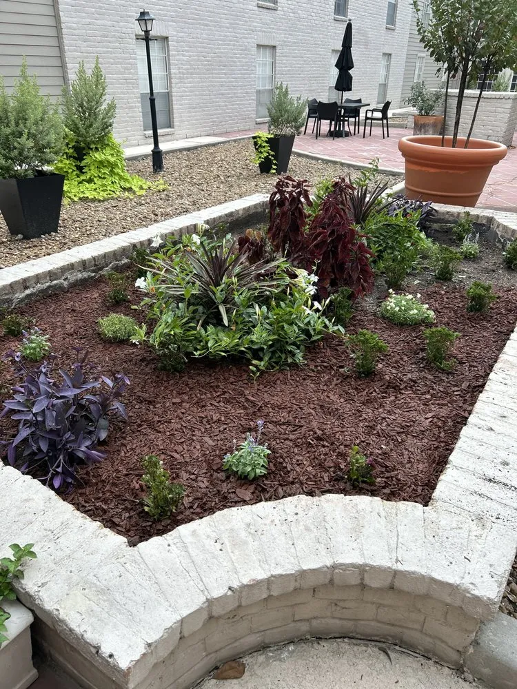 Professional lawn mowing service for beautiful yards in Killeen, TX by Southern Lawns