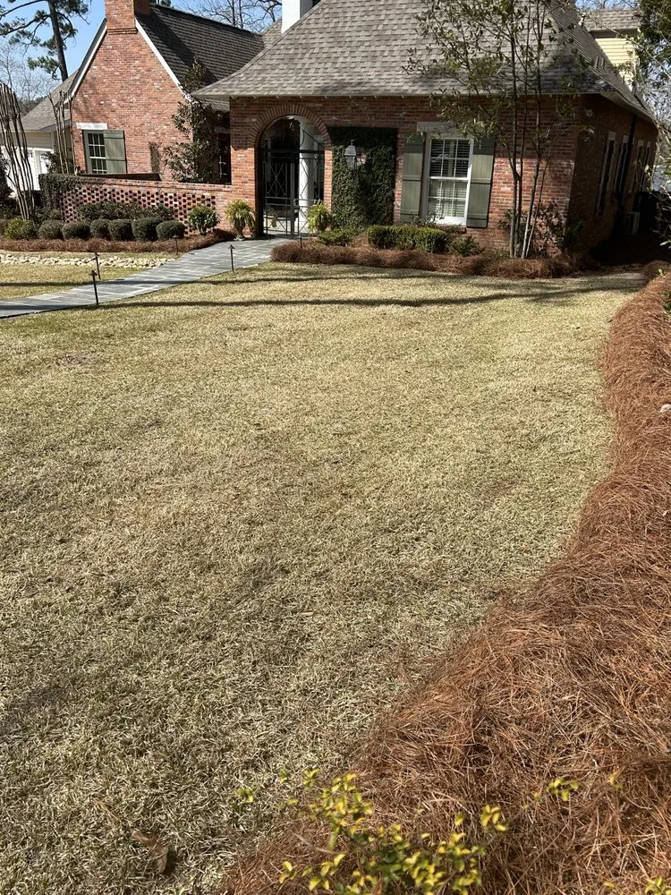 Trusted lawn care service for beautiful yards across Hattiesburg, MS - Southern Leaf