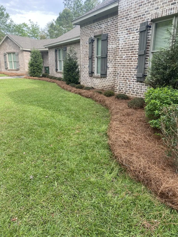 Affordable landscape design experts serving Hattiesburg, MS - Southern Leaf