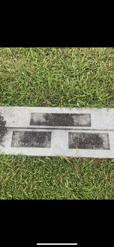 Trusted landscaping services experts serving Fayetteville, TN - Southern Legacy Stone Cleaning