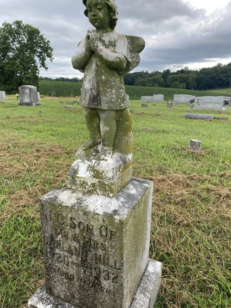 Trusted outdoor landscaping for beautiful yards across Fayetteville, TN - Southern Legacy Stone Cleaning