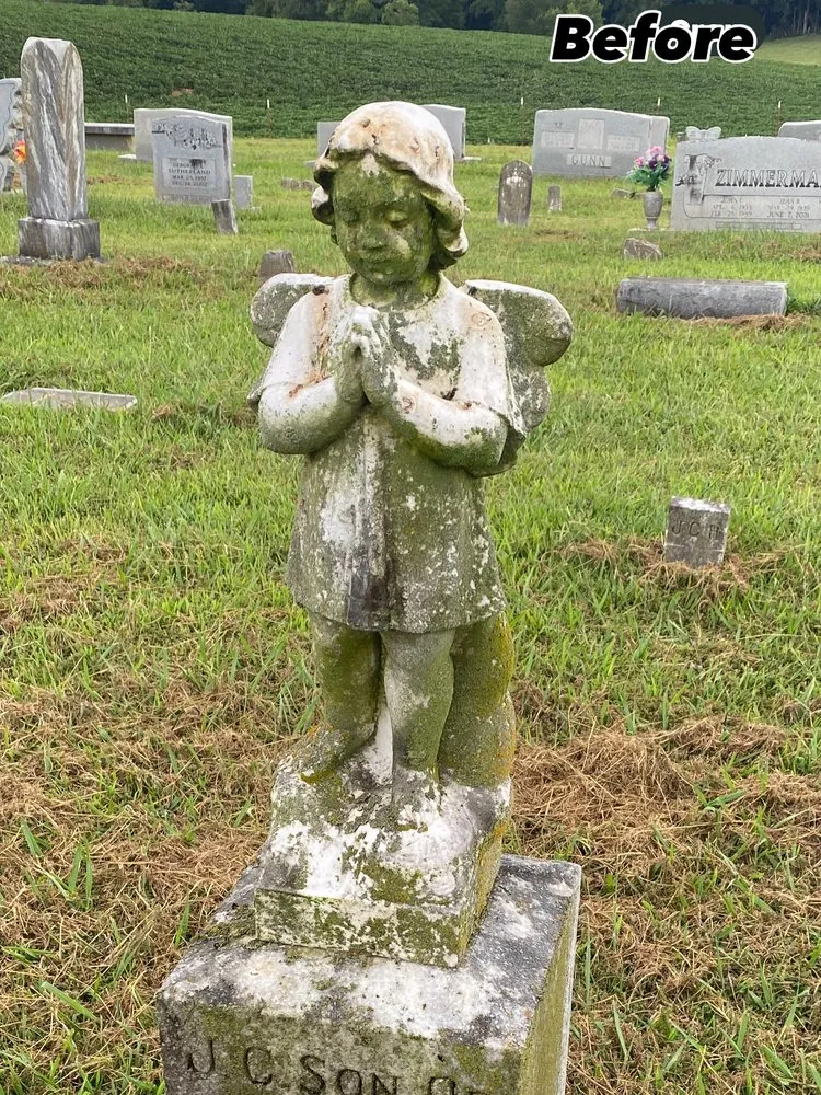 Expert landscape installation for year-round maintenance in Fayetteville, TN by Southern Legacy Stone Cleaning