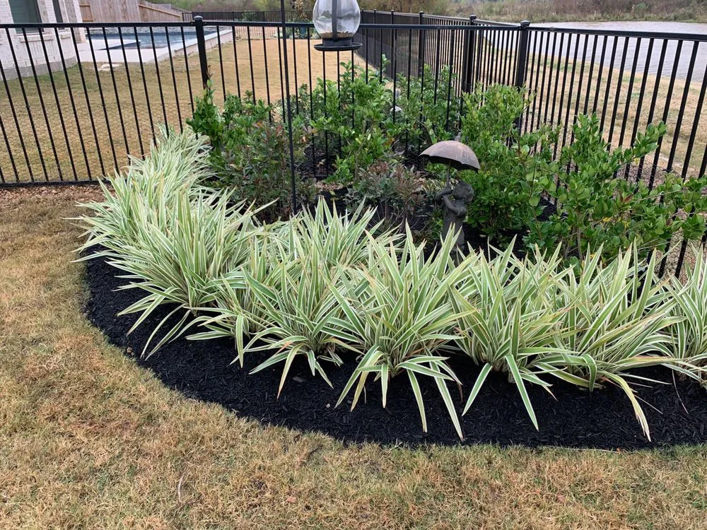 Custom yard maintenance experts serving Columbus, GA - Southern Luxury Landscape