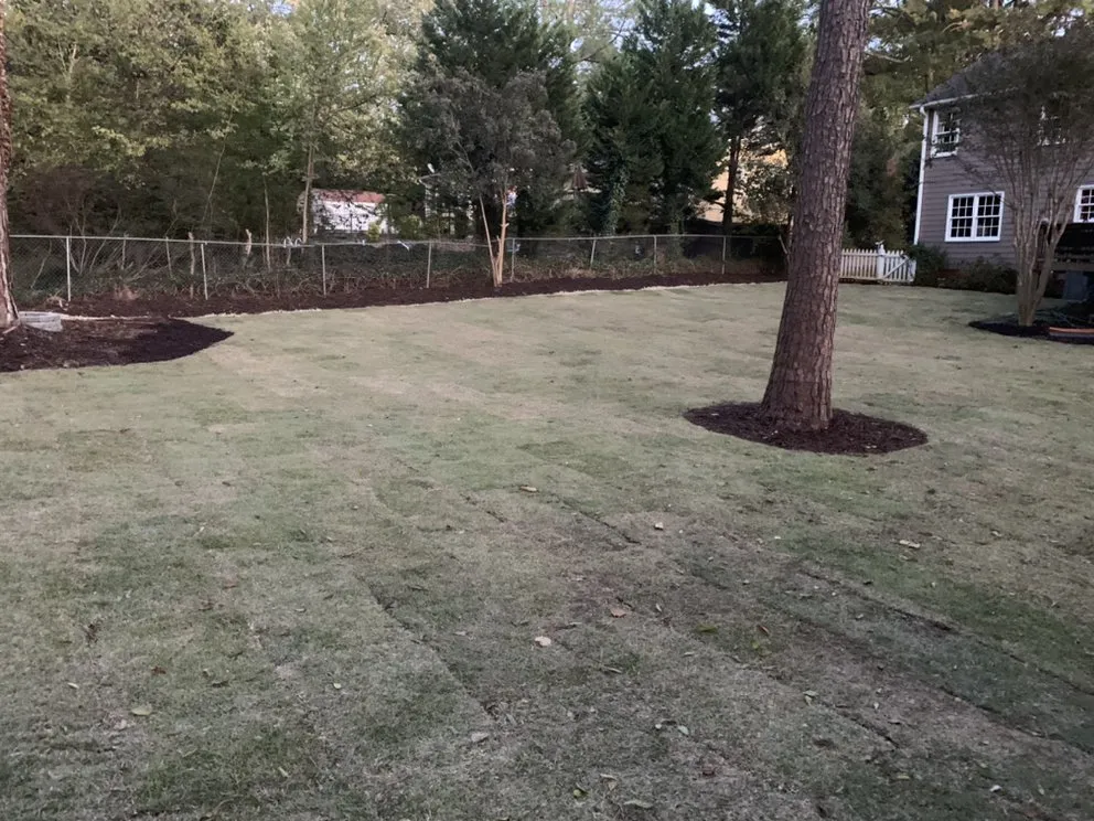 Trusted yard cleanup service in Columbus, GA - Southern Luxury Landscape