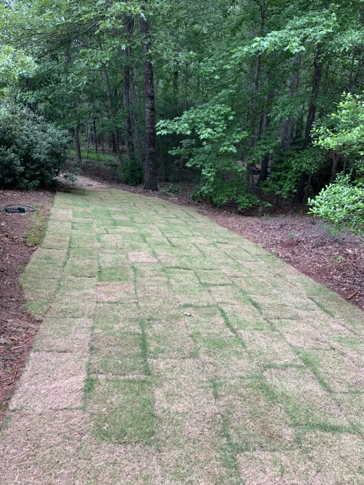 Local lawn mowing service in Columbus, GA by Southern Luxury Landscape