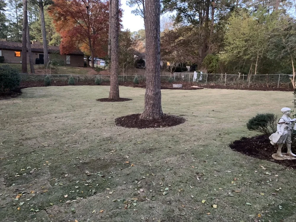 Professional yard maintenance experts serving Columbus, GA - Southern Luxury Landscape