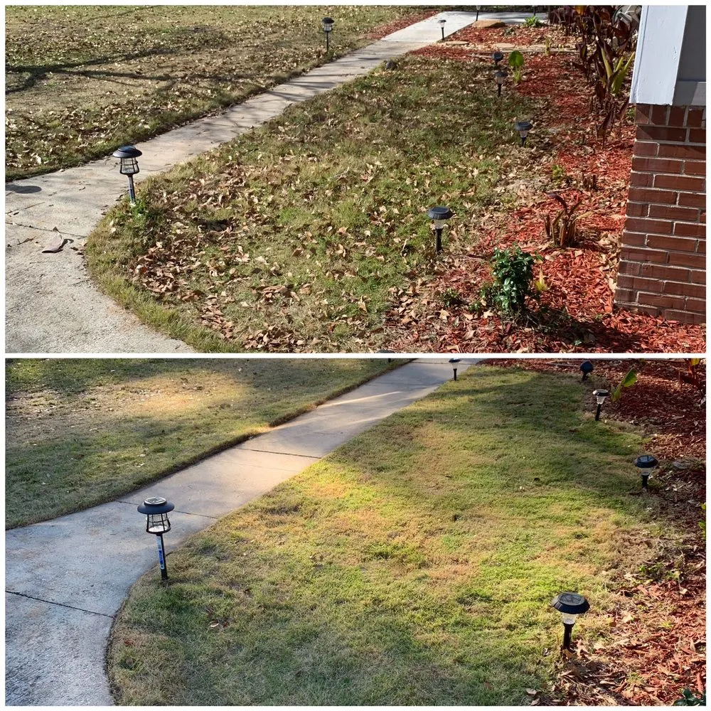 Reliable lawn care service in Columbus, GA by Southern Luxury Landscape