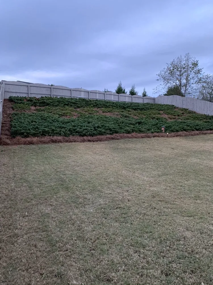 Custom outdoor landscaping for year-round maintenance across Columbus, GA - Southern Luxury Landscape