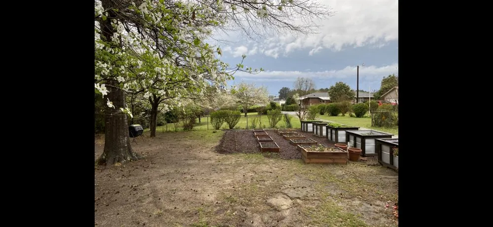 Expert yard cleanup service in Thomson, GA - Southern Lynx