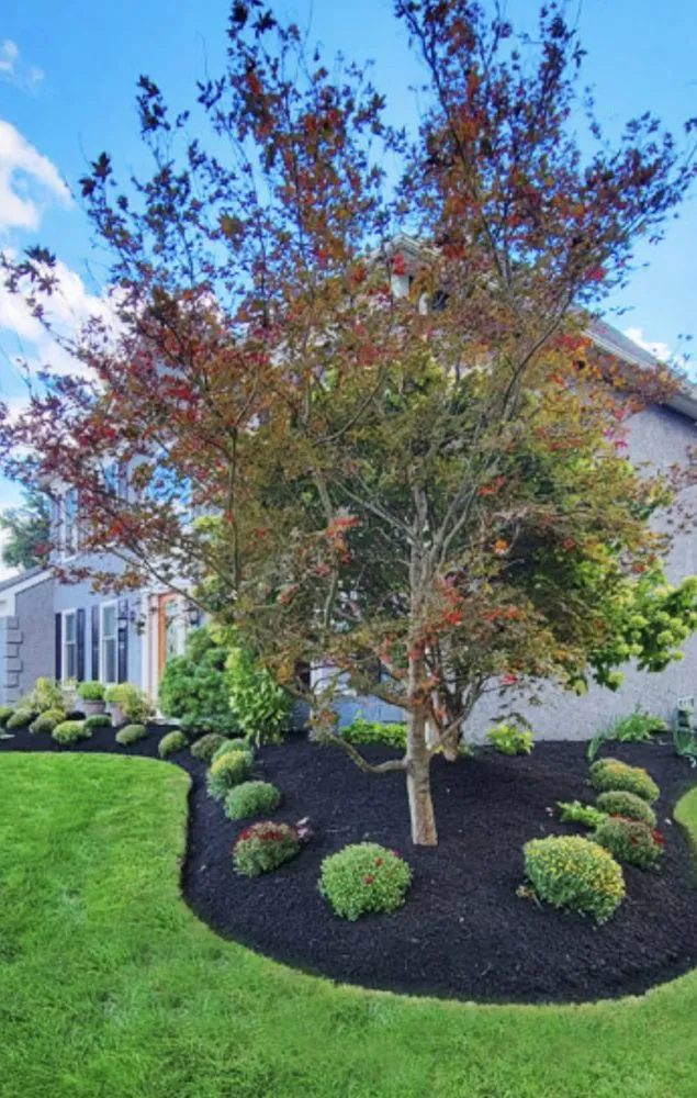 Expert lawn care service experts serving Berwick, ME - Southern Maine Landscaping