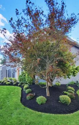 Southern Maine Landscaping Logo