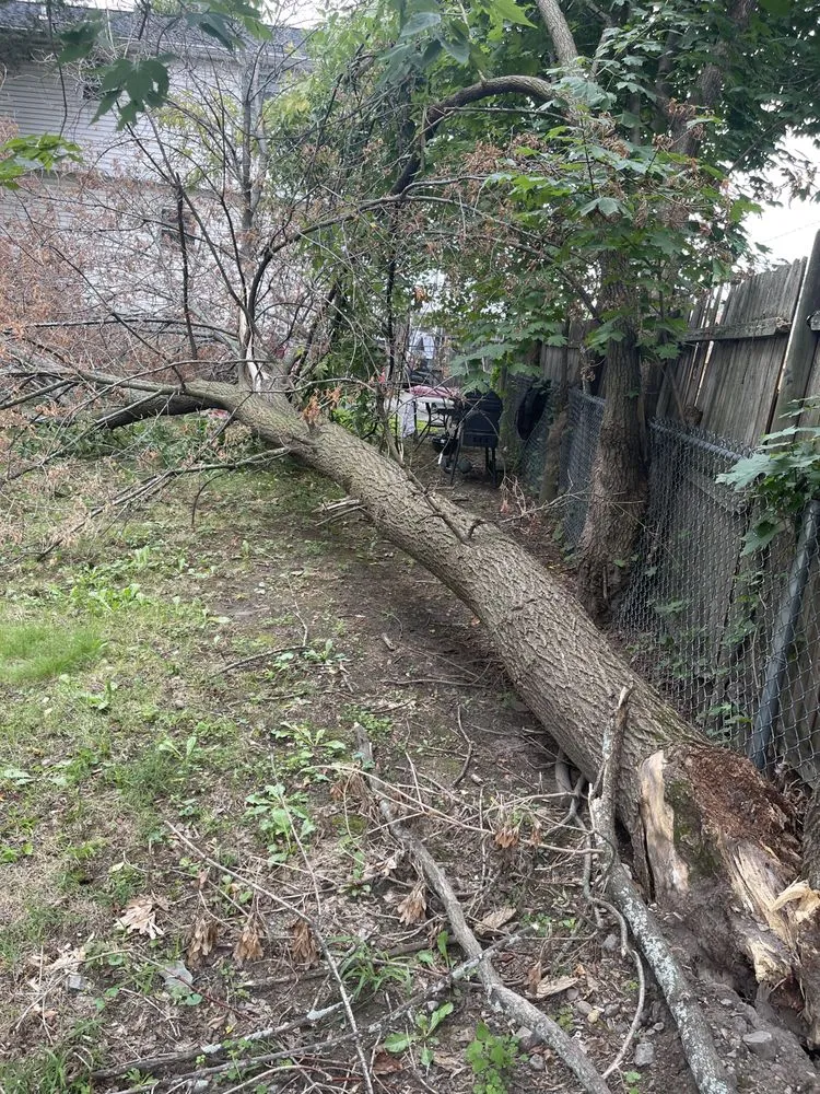 Top-rated lawn care service experts serving Boston, MA - Southern Maintenance Services