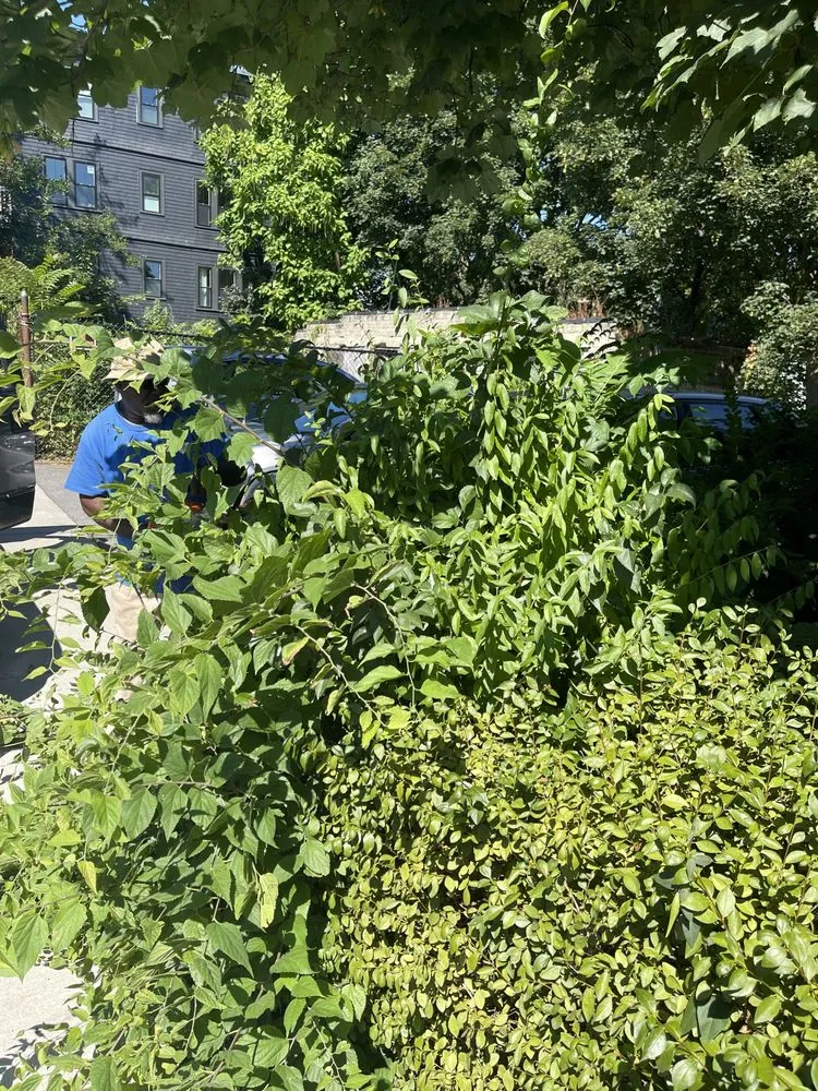 Top-rated landscaping services for outdoor upgrades in Boston, MA by Southern Maintenance Services