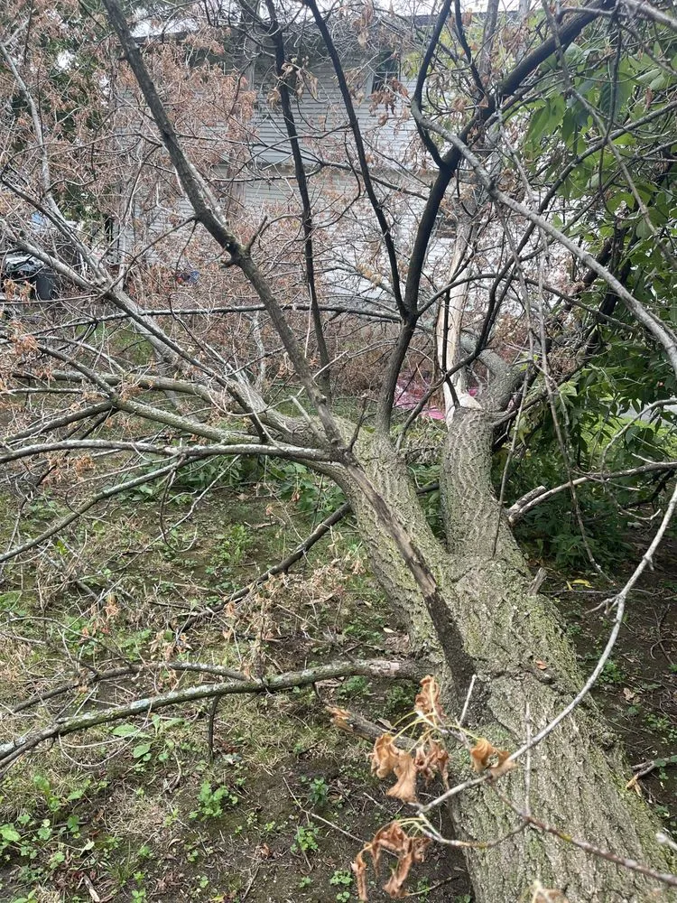 Affordable landscape design in Boston, MA - Southern Maintenance Services