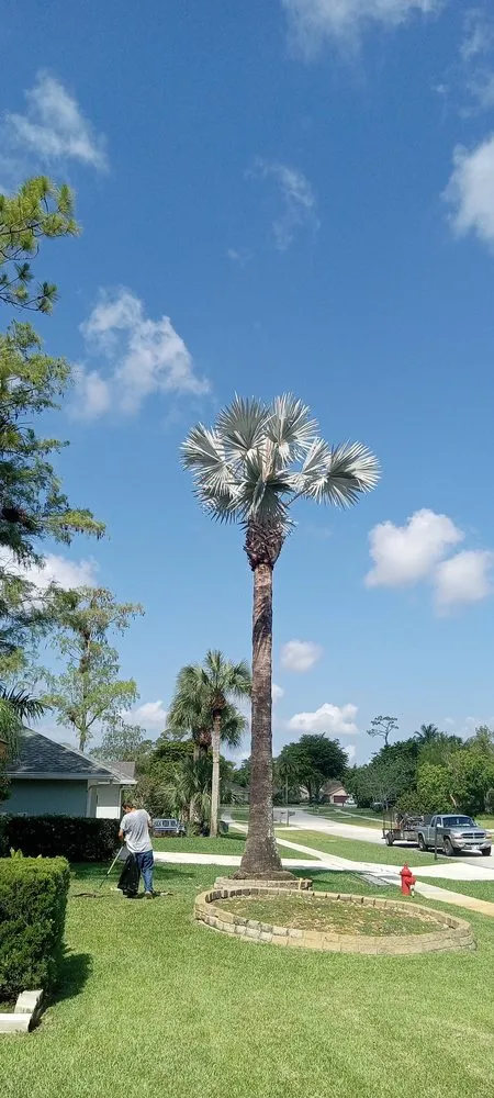 Top-rated landscape design in Vidalia, GA by Southern Man's Maintenance