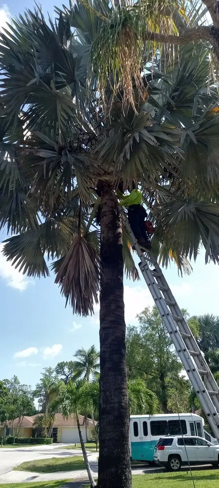 Expert landscape design in Vidalia, GA - Southern Man's Maintenance