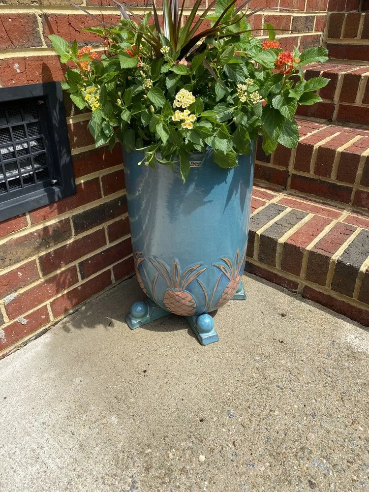 Professional yard cleanup service in Bluffton, SC by Southern Marsh Nursery Bluffton