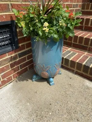 Southern Marsh Nursery Bluffton Logo