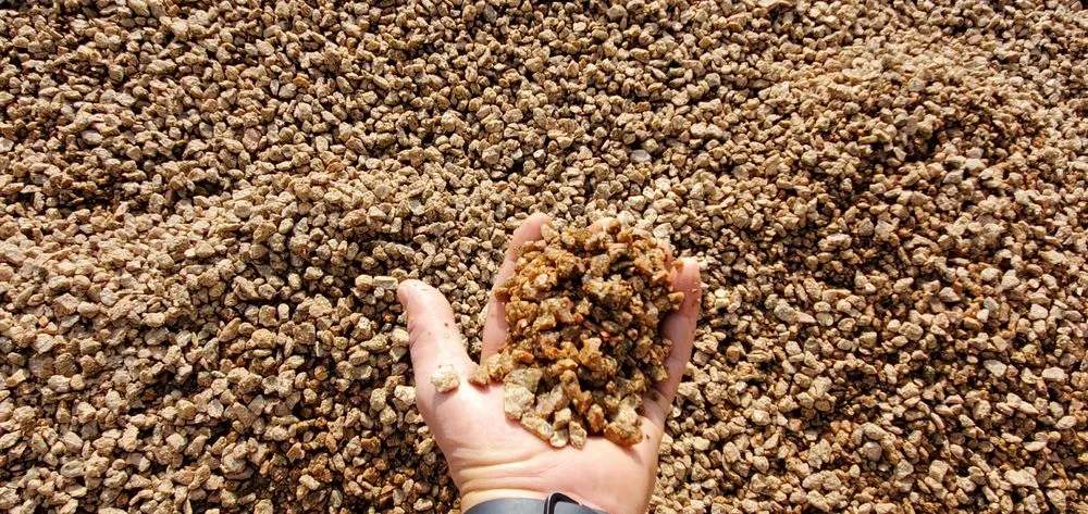 Professional yard cleanup service for year-round maintenance across Corpus Christi, TX - Southern Masonry Supply