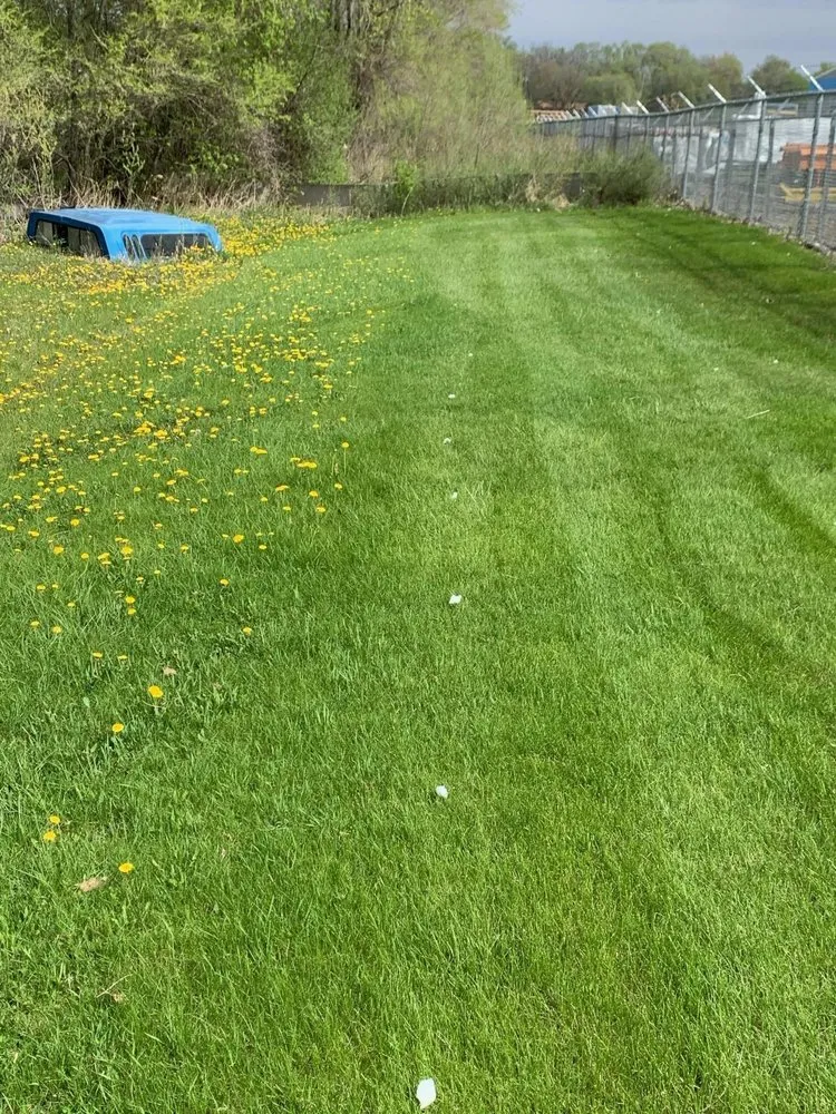 Local yard cleanup service with custom design across Owatonna, MN - Southern Minnesota LawnWorks