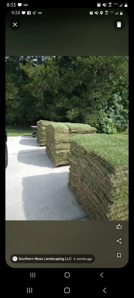 Reliable yard cleanup service experts serving Myrtle Beach, SC - Southern Moss Landscaping