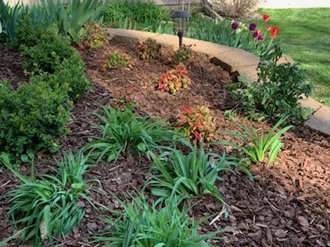 Reliable garden landscaping in Smithville, MO - Southern Mulch and Soil