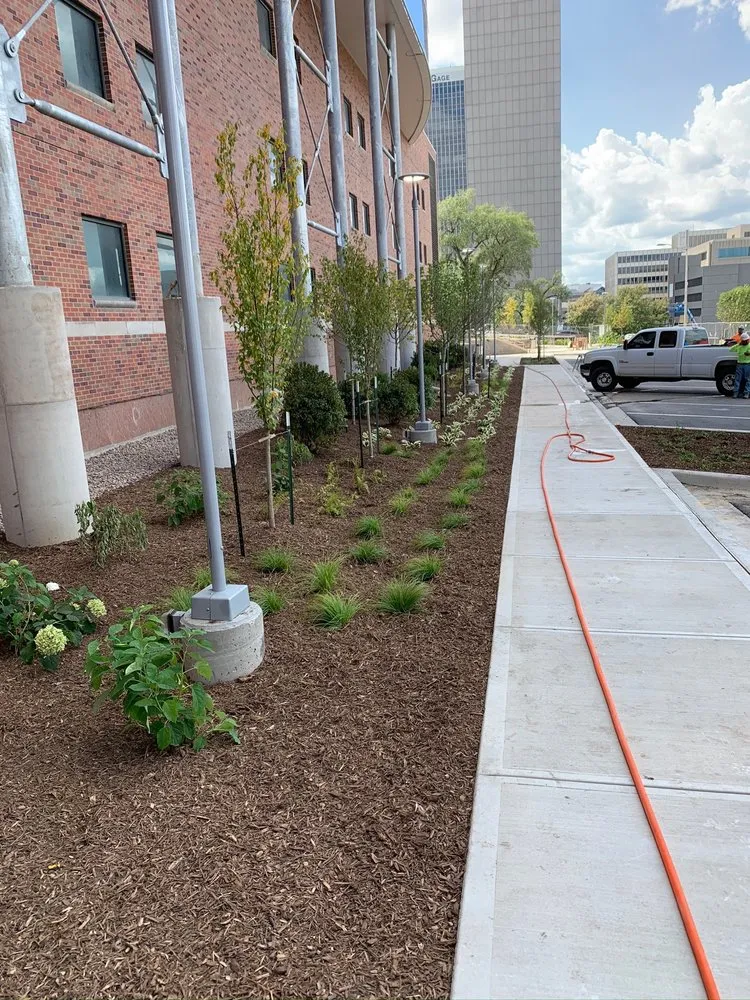 Affordable yard cleanup service in Smithville, MO by Southern Mulch and Soil