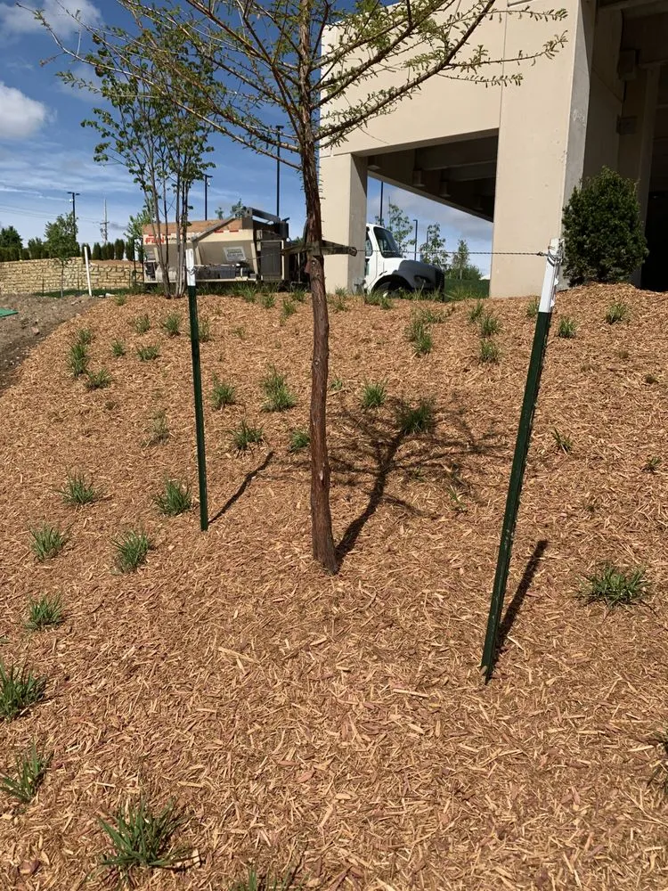 Expert lawn care service in Smithville, MO - Southern Mulch and Soil