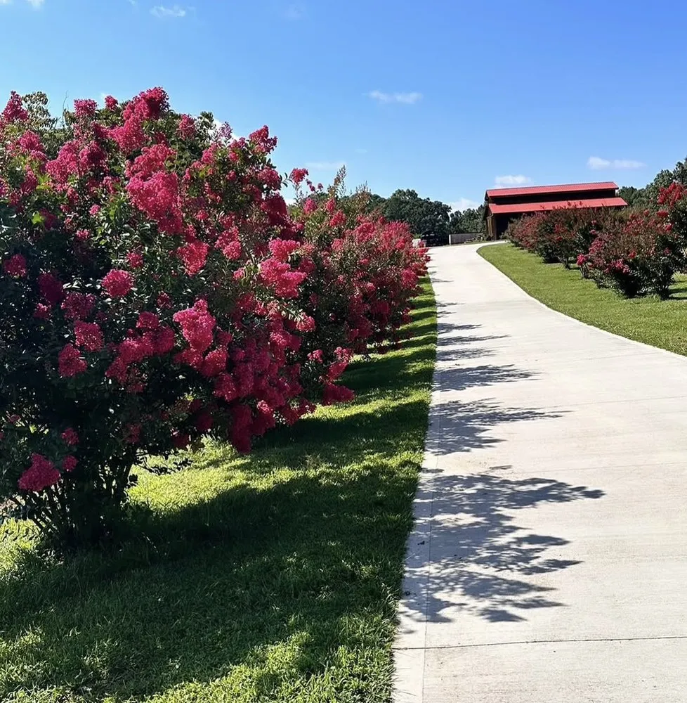 Professional landscaping services for homes in Loudon, TN by Southern Mulch Company