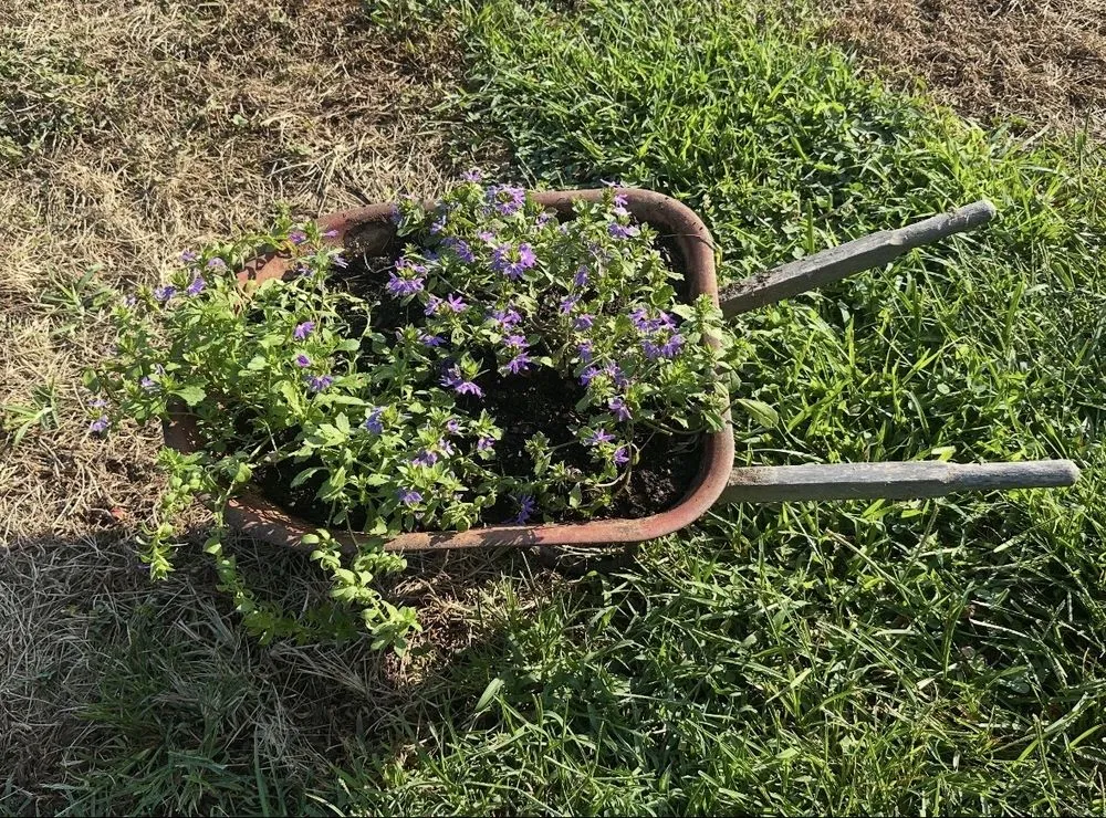 Professional landscaping services with custom design in Loudon, TN by Southern Mulch Company