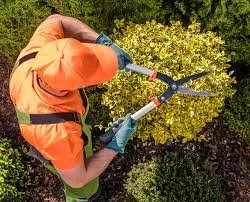 Reliable lawn mowing service experts serving Loudon, TN - Southern Mulch Company
